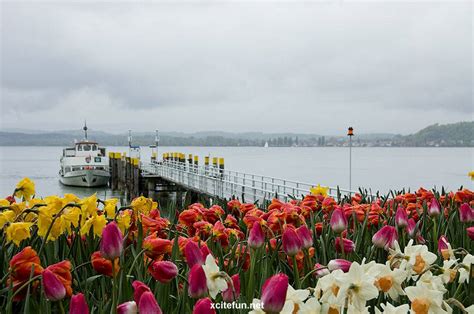 Island of Flowers - Mainau - XciteFun.net