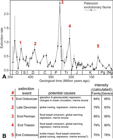 1-A) Extinction rate throughout the Phanerozoic for Paleozoic... | Download Scientific Diagram