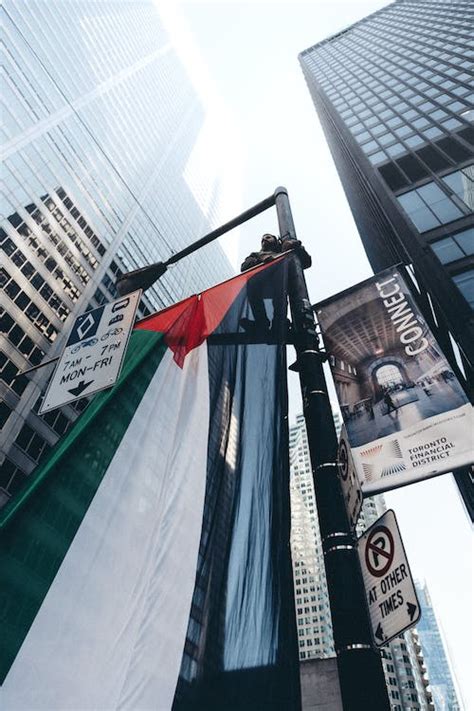 Man on a Streetlight Holding a Palestine Flag · Free Stock Photo