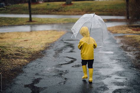 "Little Boy Walking With Umbrella In The Rain" by Stocksy Contributor ...