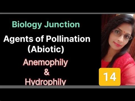 Sexual Reproduction in flowering plants: Abiotic Pollinating agents ...