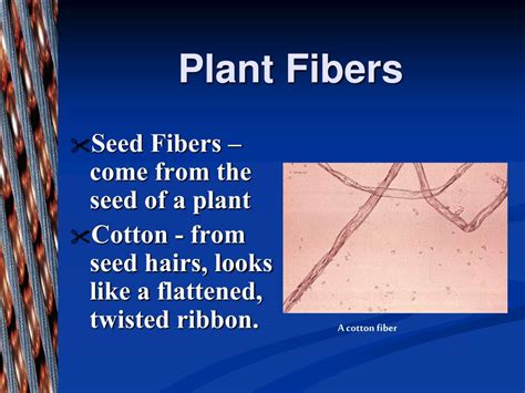 PPT - Fibers & Textiles PowerPoint Presentation, free download - ID:2327024