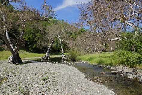 17 TOP-RATED Hiking and Running Trails near Fremont, CA – Wild