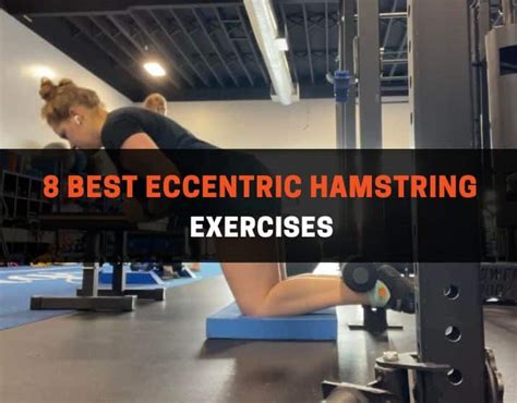 8 Greatest Eccentric Hamstring Workout routines (Plus, Pattern Exercise ...