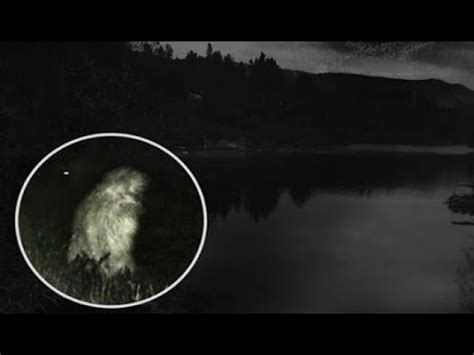 SCARY!! LAKE MONSTER ATTACKS Woman! SHOCKING Under Water Video [Canada ...