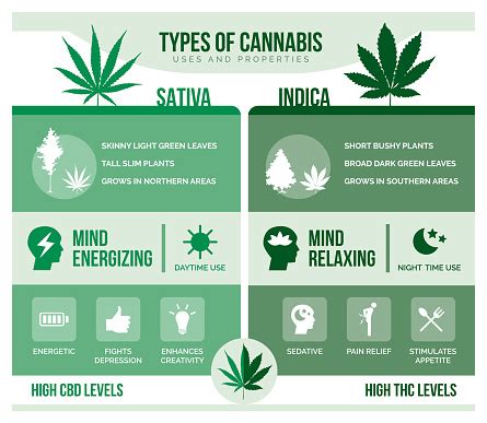 How to Decide Which Medical Marijuana Strain is Right for You | MMPOhio.com