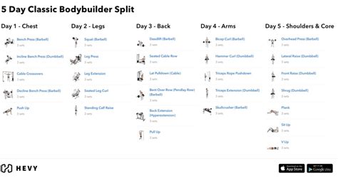 arnold workout split > OFF-75%