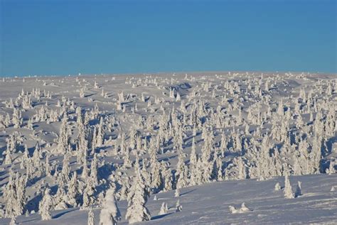 Winter landscape Sweden stock photo. Image of northern - 4126040