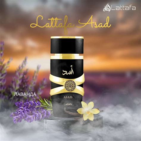 Lattafa Asad Perfume For Men 100ML - Lattafa - Perfume Palace