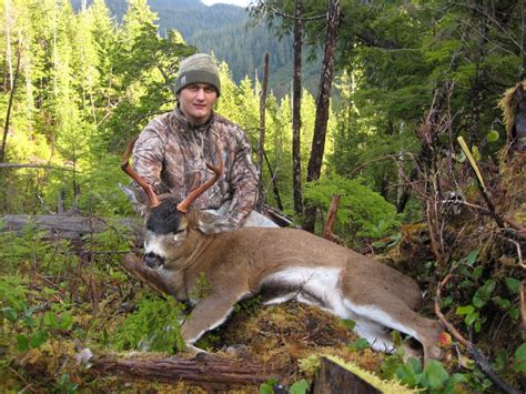 Alaska Sitka Blacktail Deer Hunt 10492