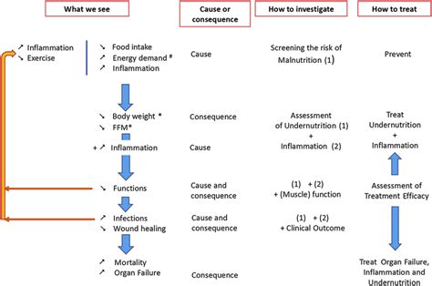 Schematic representation of the diagnosis and treatment of... | Download Scientific Diagram