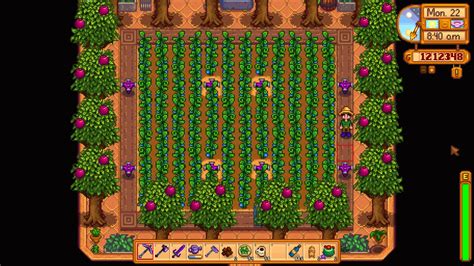 Stardew Valley Greenhouse Iridium Sprinkler Layout