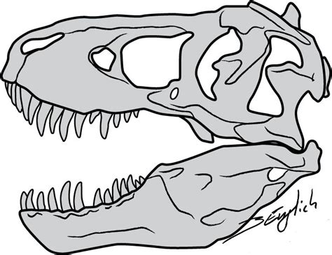 T-Rex Skull by Belverine on deviantART | Tattoo ideas! | Pinterest | deviantART and Tattoo