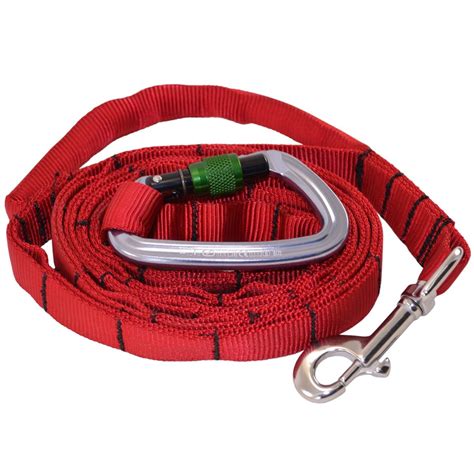 Nylon Adjustable Service Dog Leash with Bolt Snap | Dog Lead - J&J Dog Supplies