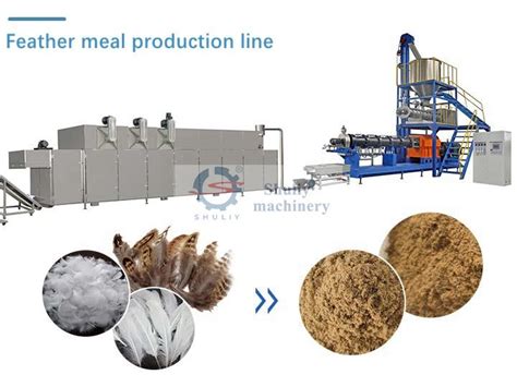 Feather Meal Production Line - Industrial Development