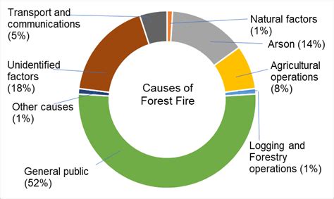 Causes of forest fire | Download Scientific Diagram