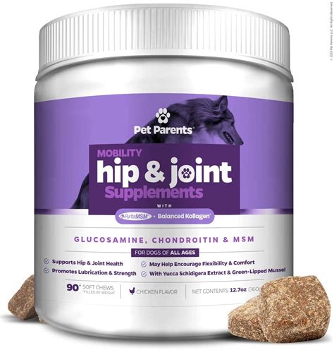 Best Dog Vitamin Supplements – Pet Parents Hip and Joint Support | Pros ...