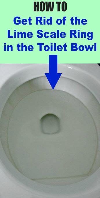 Get Rid of the Lime Scale Ring in the Toilet Bowl | Cleaning toilet ...