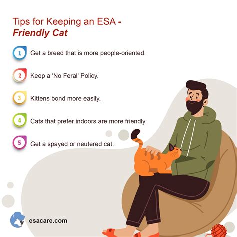 7 Ways Your ESA Cat Can Quickly Boost Your Quality of Life - ESA Care