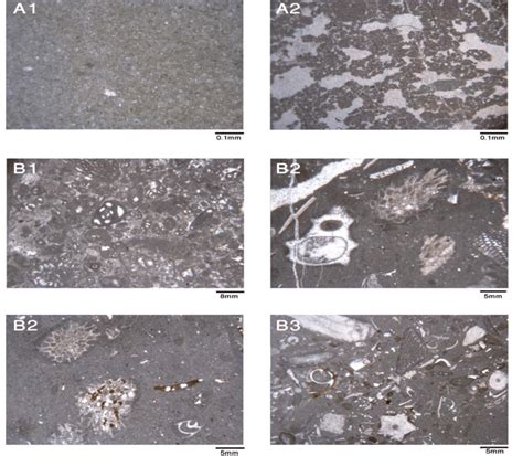 A1: Unfossiliferous mudstone, A2: Mudstone with fenestral fabric, B1 ...