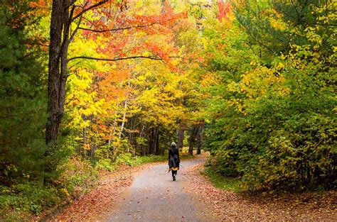 Best hiking trails in Ontario