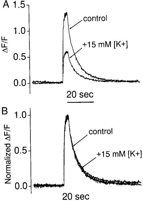 Potassium-mediated depolarization does not retard posttetanus calcium ...