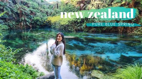 Pristine Blue Spring Putaruru & Cambridge in WAIKATO New Zealand | NORTH ISLAND NZ TRAVEL VLOG 1 ...