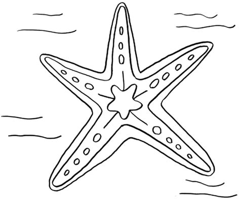 Starfish Drawing Images at GetDrawings | Free download