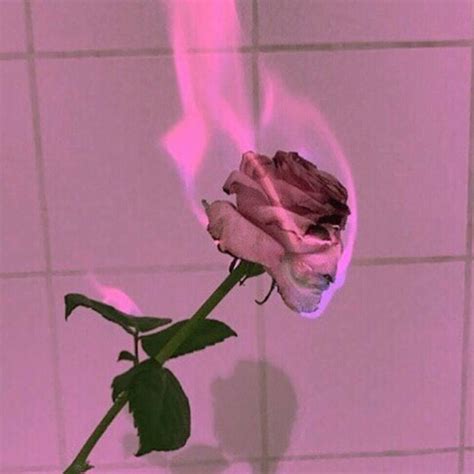 √ Tumblr Aesthetic Rose