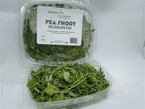 Pea Shoots – Motor City Micro Farm