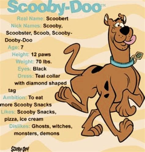 scooby doo | Scooby doo, Scooby doo images, Scooby doo mystery incorporated