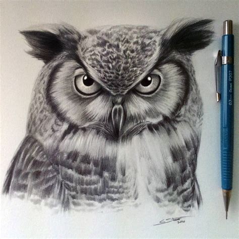 Owl Drawing by LethalChris on DeviantArt