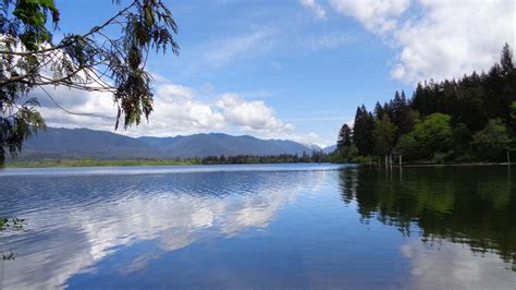 Lodging at Lake Quinault, WA | Quinault River Inn