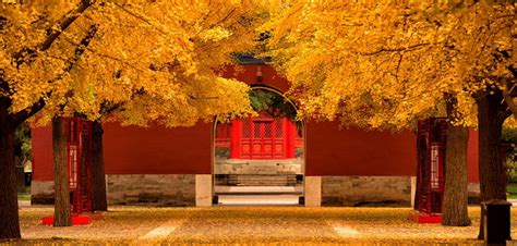 Feast Your Eyes on Fall Foliage at These Scenic Beijing Parks | the ...