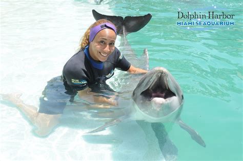 My Dolphin Odyssey Experience at the Miami Seaquarium was Awesome ...