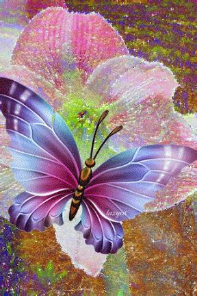 Butterfly | Butterfly pictures, Butterfly wallpaper, Butterfly gif