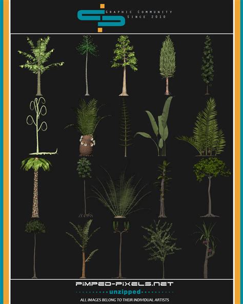 Prehistoric Plants by FreyaSmith on DeviantArt