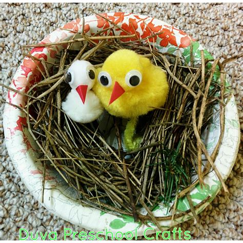 Duva Preschool Craft Ideas: Bird Nest for Preschool Kids