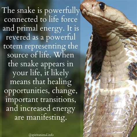 Snake Spirit Animal | Totem Meaning | Snake spirit animal, Spirit animal totem, Spirit animal