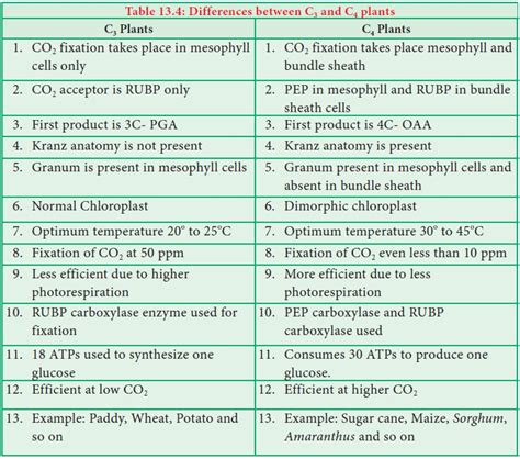 Hatch & Slack Pathway or C4 Cycle or Dicarboxylic Acid Pathway or ...