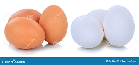 Brown and White Eggs Isolated Stock Photo - Image of healthy, eggs: 94914088