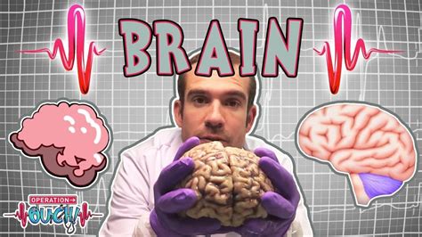 Science for kids | Brilliant Brains | The Nervous System | Experiments ...