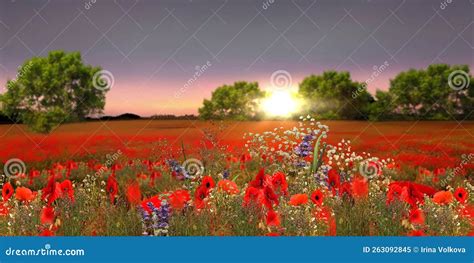 Flowers on Field in Forest Beautiful Summer Nature Landscape Stock ...