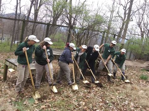 Black Bear exhibit breaks ground at Mill Mountain Zoo | News/Talk 960 ...