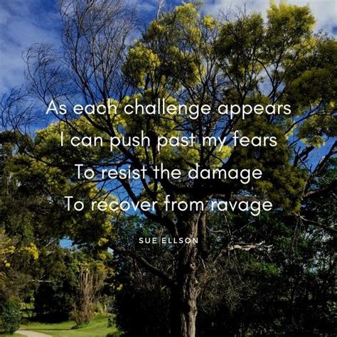 Resilience Poem - Sue Ellson