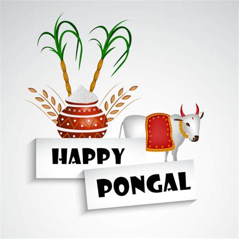 Best Pongal Festival Illustrations, Royalty-Free Vector Graphics & Clip ...