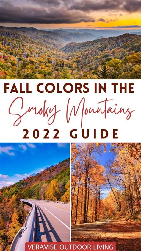 Fall Colors Smoky Mountains 2022