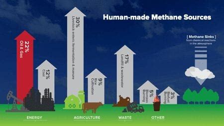 What Is Methane and Why Does It Matter? | MiQ