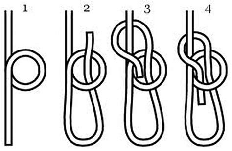 The bowline knot may be the most useful knot, because it is secure and ...