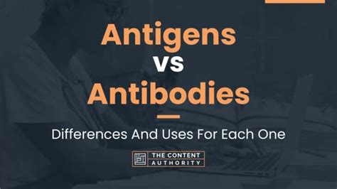 Antigens vs Antibodies: Differences And Uses For Each One